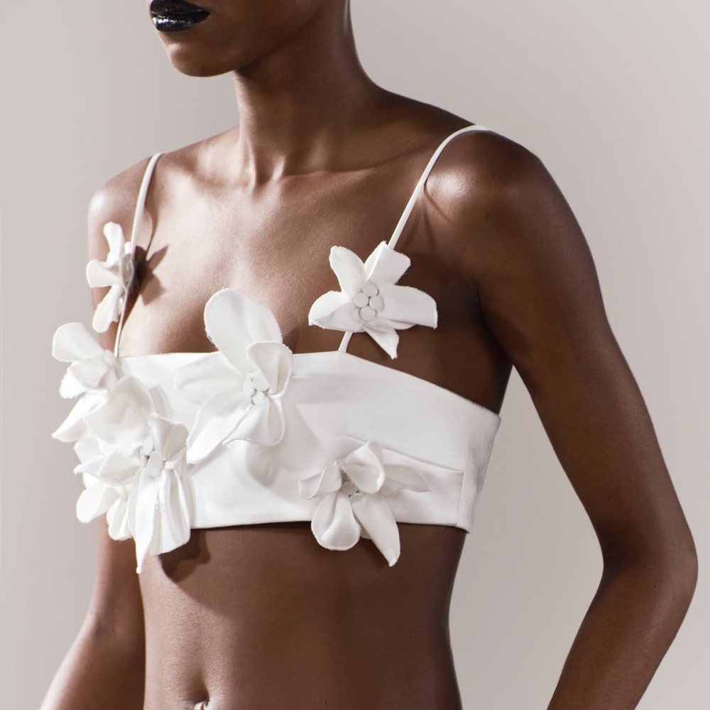 NWT Zara Floral Cropped Top ZW Collection